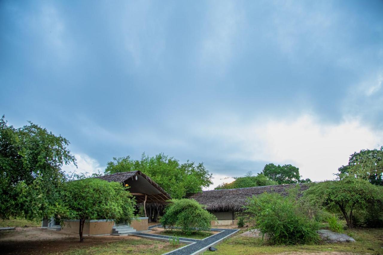 Yala Wild Hut - Yala Hotell Tissamaharama Exteriör bild