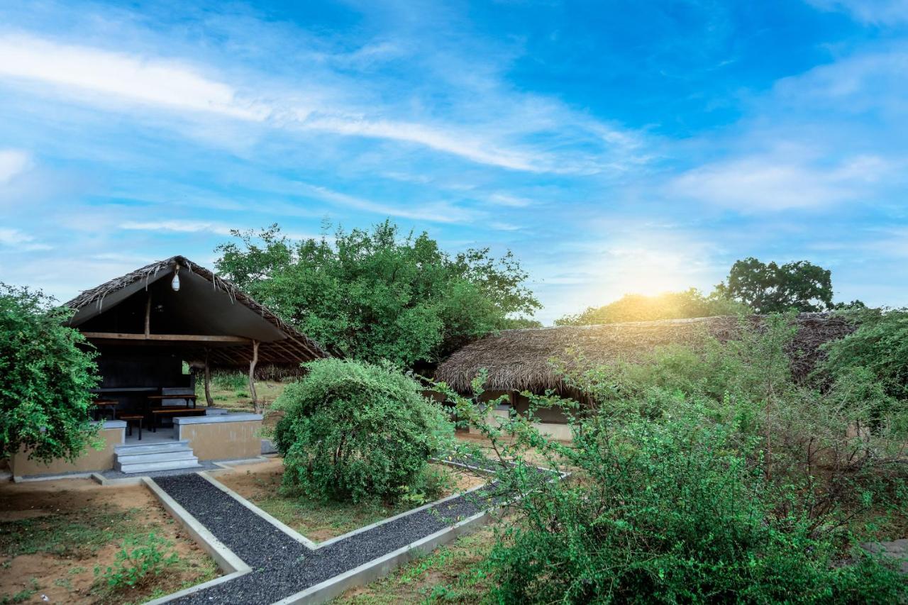 Yala Wild Hut - Yala Hotell Tissamaharama Exteriör bild