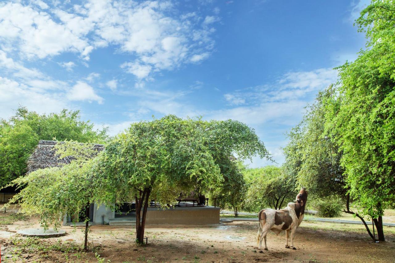 Yala Wild Hut - Yala Hotell Tissamaharama Exteriör bild