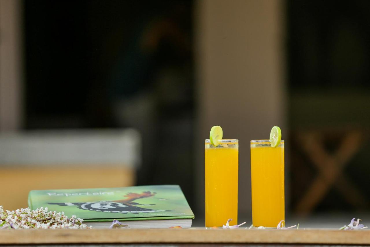 Yala Wild Hut - Yala Hotell Tissamaharama Exteriör bild
