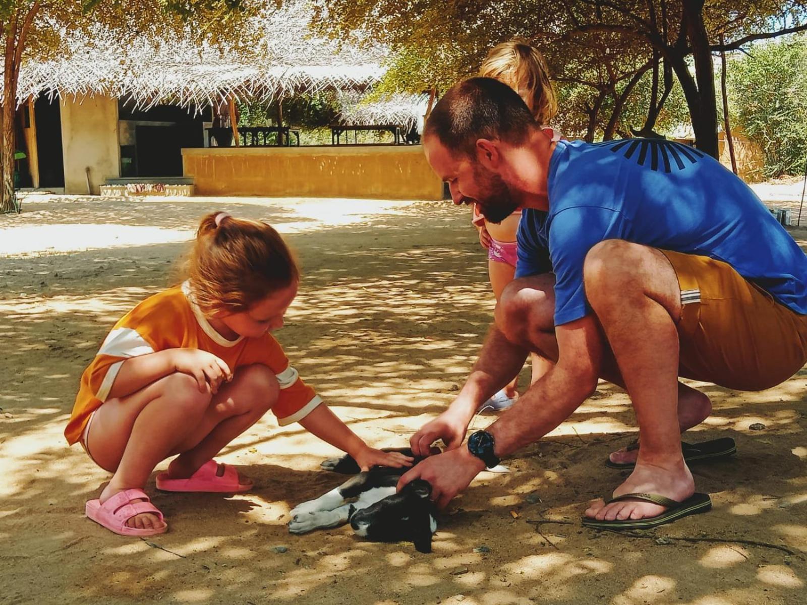 Yala Wild Hut - Yala Hotell Tissamaharama Exteriör bild